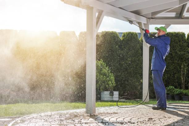 Best Pre-Holiday Cleaning  in Los Molinos, CA